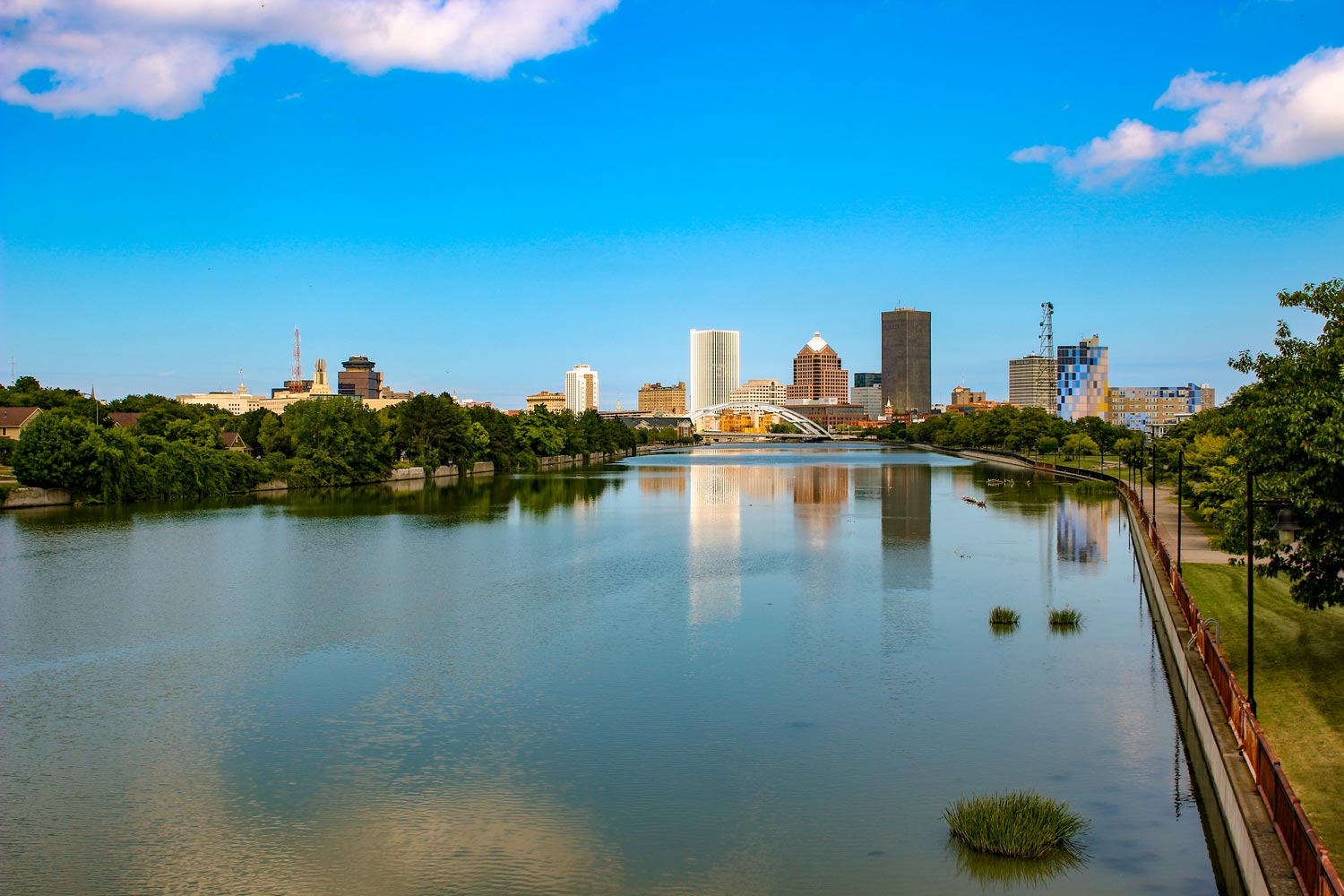 dentists near Rochester NY